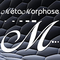 Logo de Métamorphose web design logo
