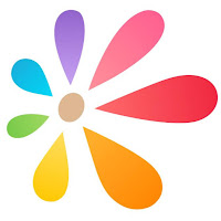 Logo d'Asset Point De Vue