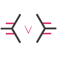 Logo de VirginieLGB - Website Development