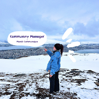 Logo de Mandi Communique