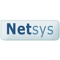 Logo de Netsys