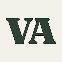 Logo de Visual Artisan