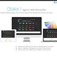 Logo d'OTAKE | AGS groupe