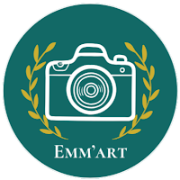 Logo d'Emm'art