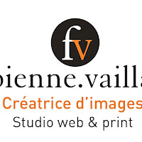Logo de Vaillant Fabienne