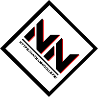 Logo de Nathan NICOLLE