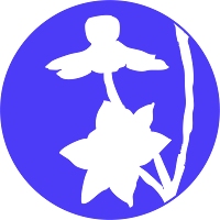 Logo de Studio Chloe Coislier