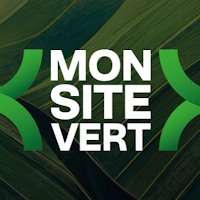 Logo de Mon Site Vert