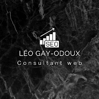 Logo de Léo Gay Odoux - Consultant Web Annecy