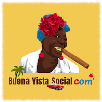 Logo d'Agence Web Buena Vista Social Com'