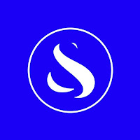 Logo de SERUM AND CO - Partenaire de votre stratégie digitale