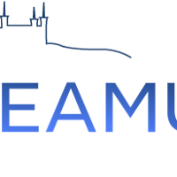 Logo de STEAMULO LYON