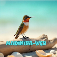 Logo de Madinina-web