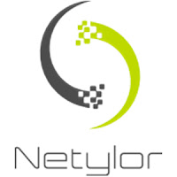 Logo de NETYLOR