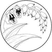 Logo d'Enzo LEBLANC GALBERT