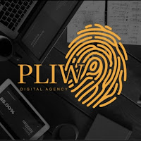 Logo de Pliwo Agency