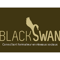 Logo de Black Swan consultant