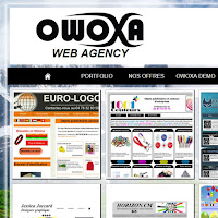 Logo d'Owoxa agence internet