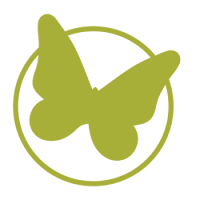 Logo de Virginie Raisson Webmaster