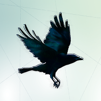 Logo de Fasano Virginie