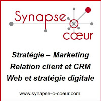 Logo de Synapse O Coeur
