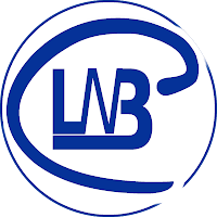 Logo de LNB Consulting & Software