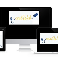 Logo de cestWeb