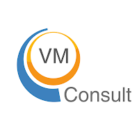 Logo de VM Consult