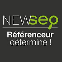 Logo de Newseo