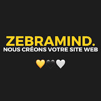 Logo de Zebramind - Agence Web