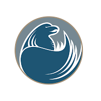 Logo de NEOLINEA - Webdesigner