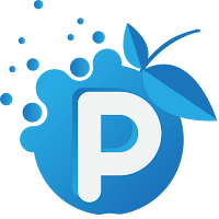 Logo de PappleWeb Charvonnex | Agence SEO et SEA | Création de Sites