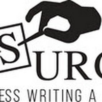 Logo de Word Surgery - Full Stack AI Marketing and Consulltation Service
