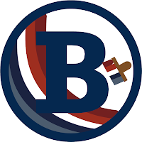 Logo de Bodo Conseil