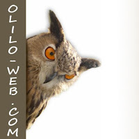 Logo d'Olilo
