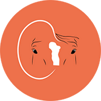 Logo de Cadence