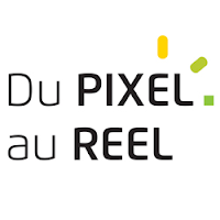 Logo de Du PIXEL au REEL
