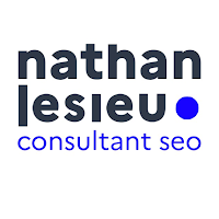 Logo de Nathan Lesieu - Consultant SEO Tourcoing